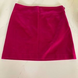 Banana Republic Skirt